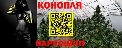 МДМА Гатчина
