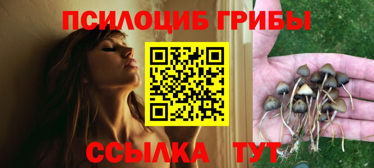 Галлюциногенные грибы MAGIC MUSHROOMS Волхов