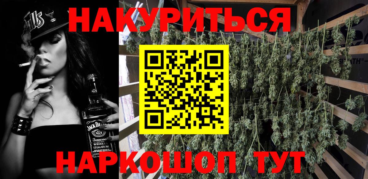 Каннабис гибрид Волхов