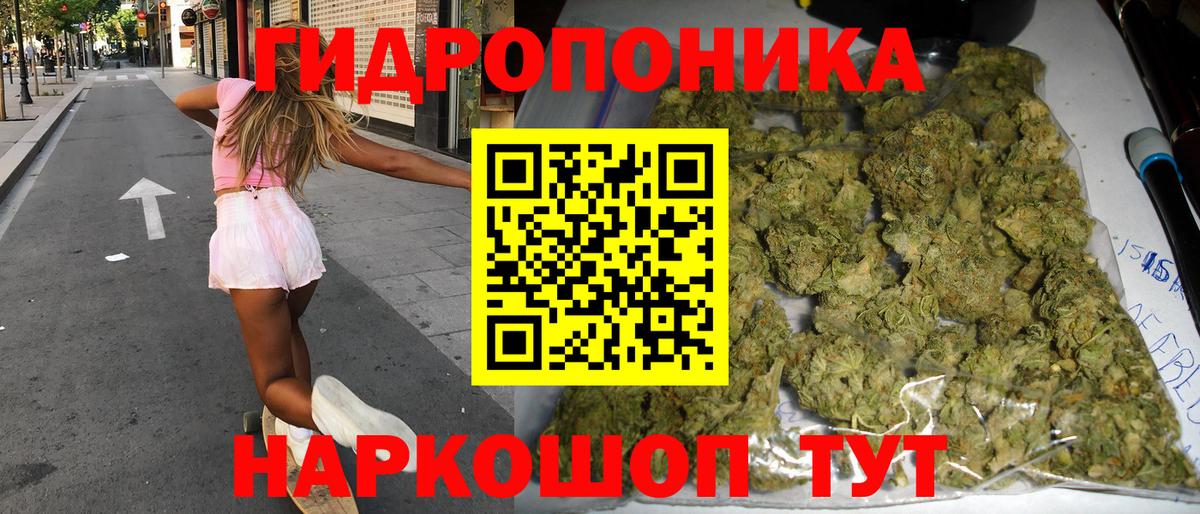 Волхов  Бошки Шишки ГИДРОПОН  Марихуана индика  Вход с VPN  Марихуана семена 